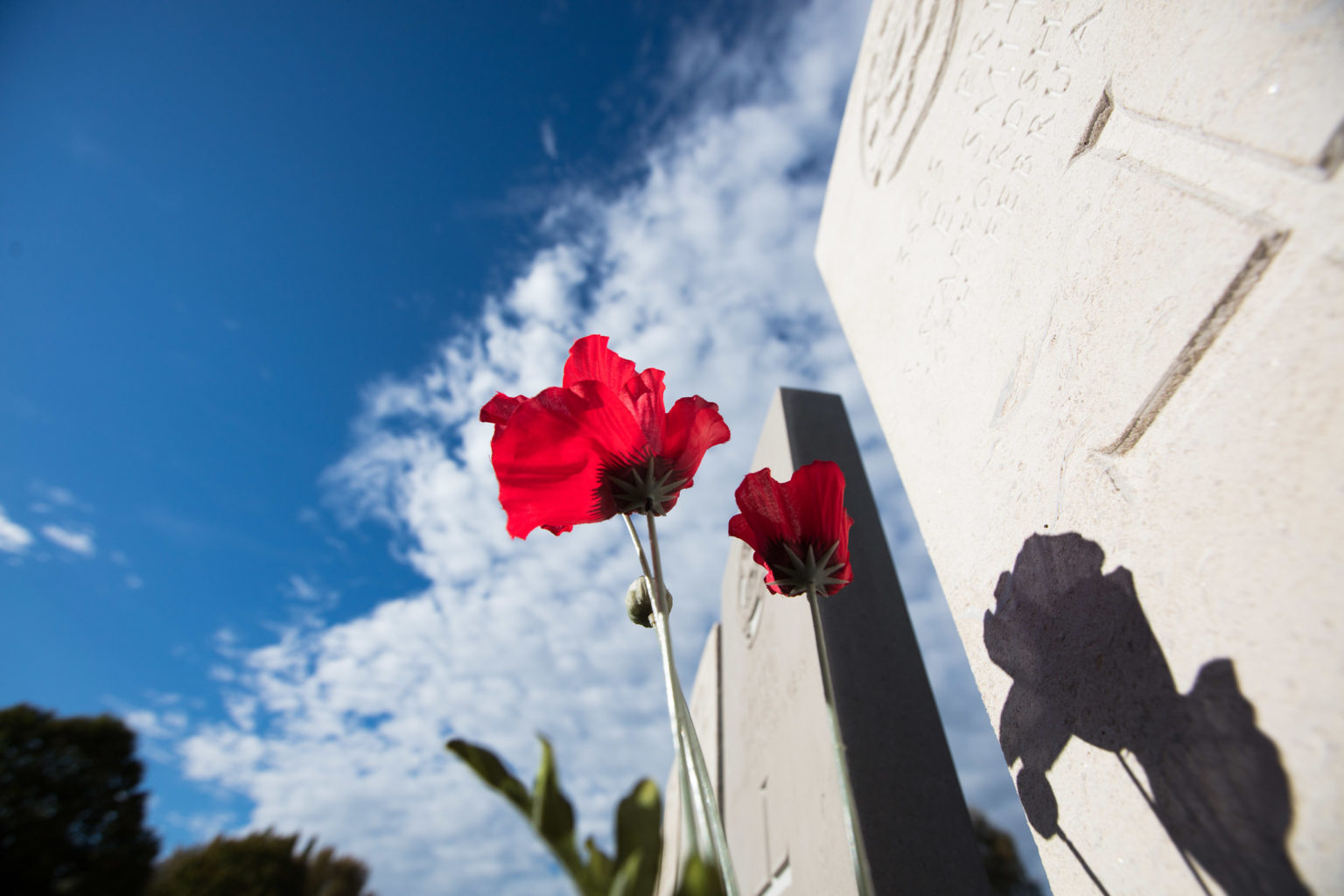 Flanders Fields