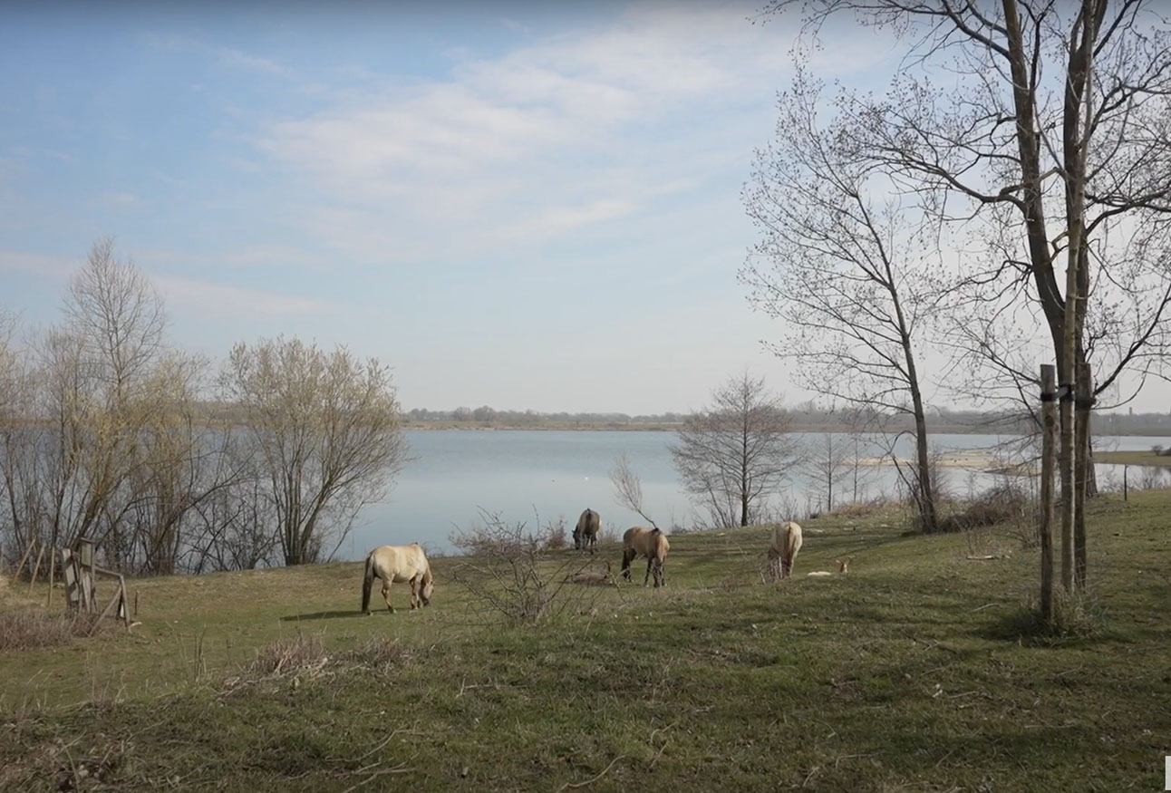 RivierPark Maasvallei ontdekken