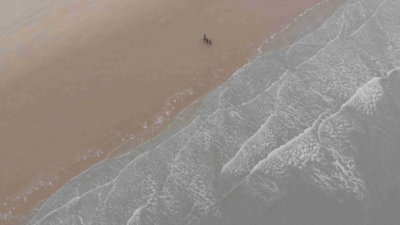 Strand van Oostende, januari 2019